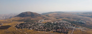 Settling the land of Israel